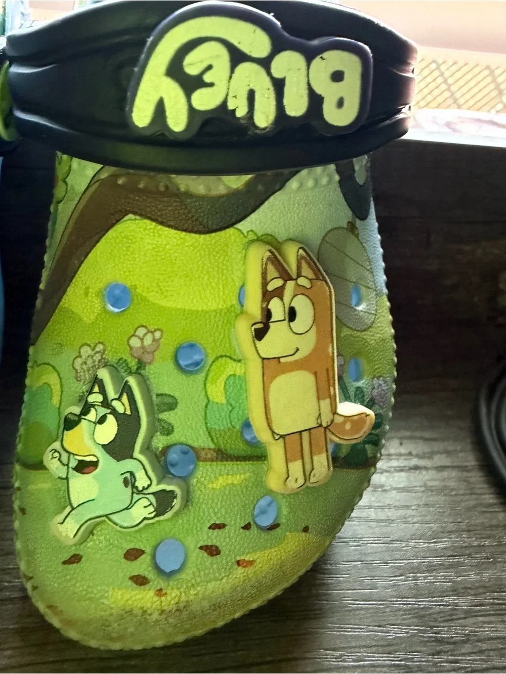 CROCS Kids  BLUEY Unisex size C 6